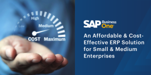 An-Affordable-Cost-Effective-ERP-Solution-for-Small-Medium-Enterprises