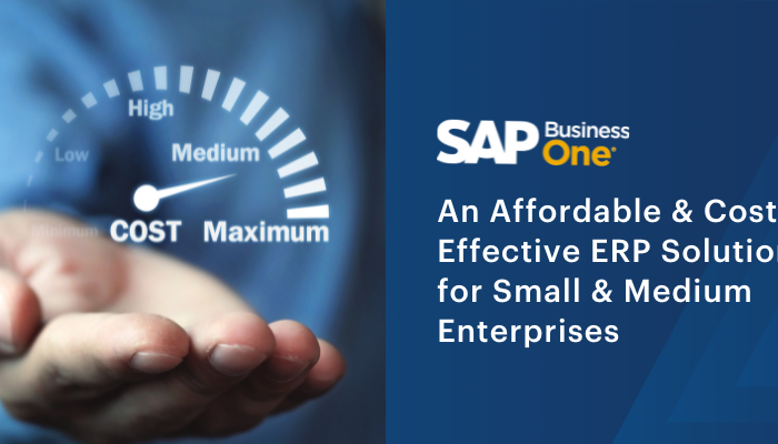 An-Affordable-Cost-Effective-ERP-Solution-for-Small-Medium-Enterprises