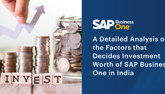 A Detailed Analysis of the Factors that Decides Investment Worth of SAP Business One in India