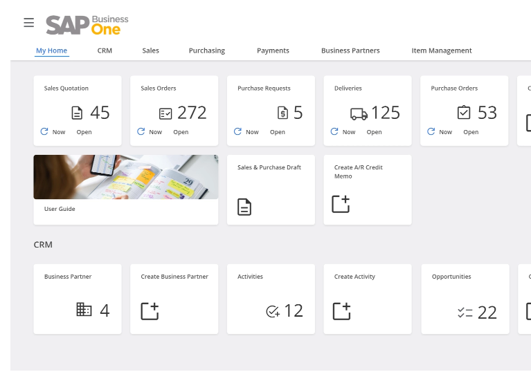 SAP Business One