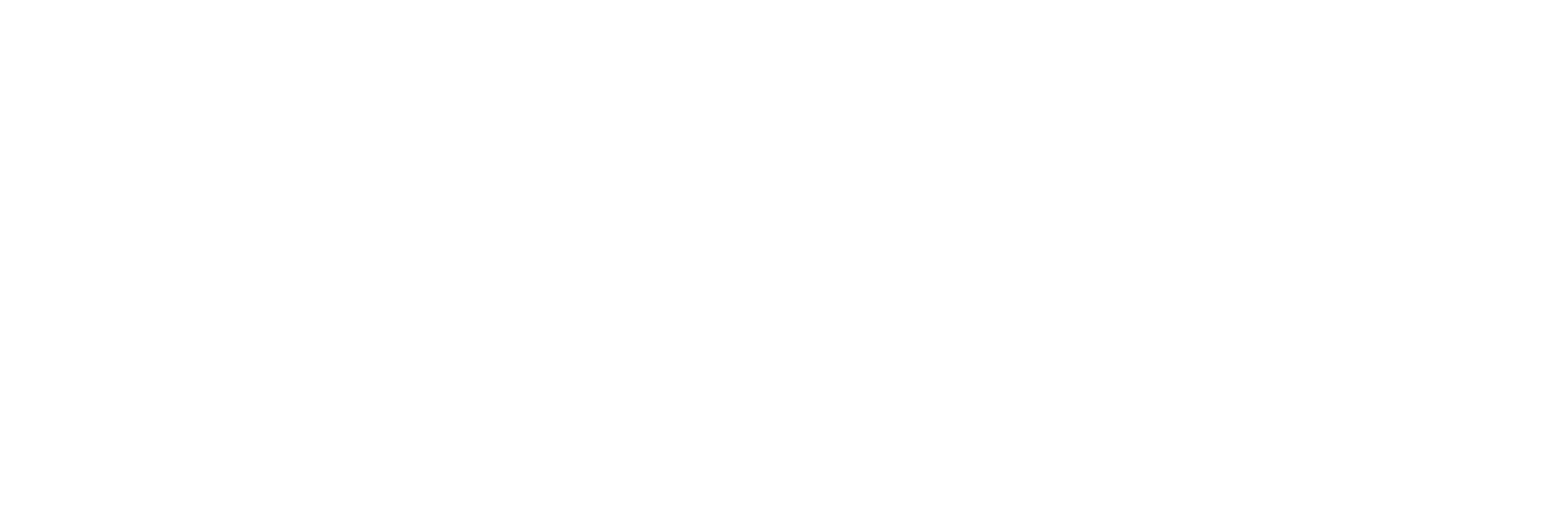Embee Logo- White