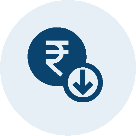 cybersecurity cost icon