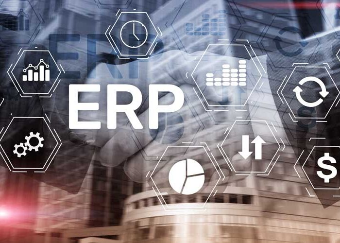 SAP modules architecture diagram showing modular ERP components