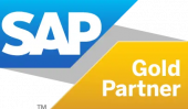 SAP Partner of the Year award certificate for Embee Software India