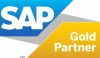 SAP Partner of the Year award certificate for Embee Software India